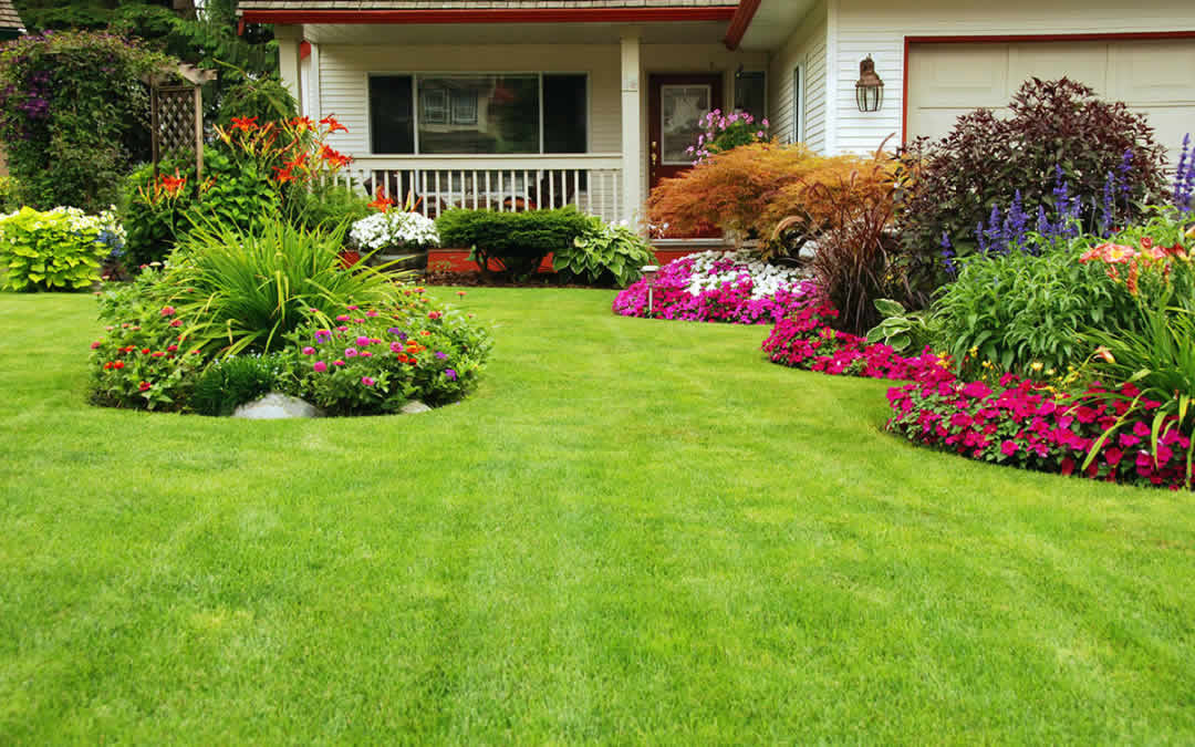 How to Get the Greenest Lawn This Summer?