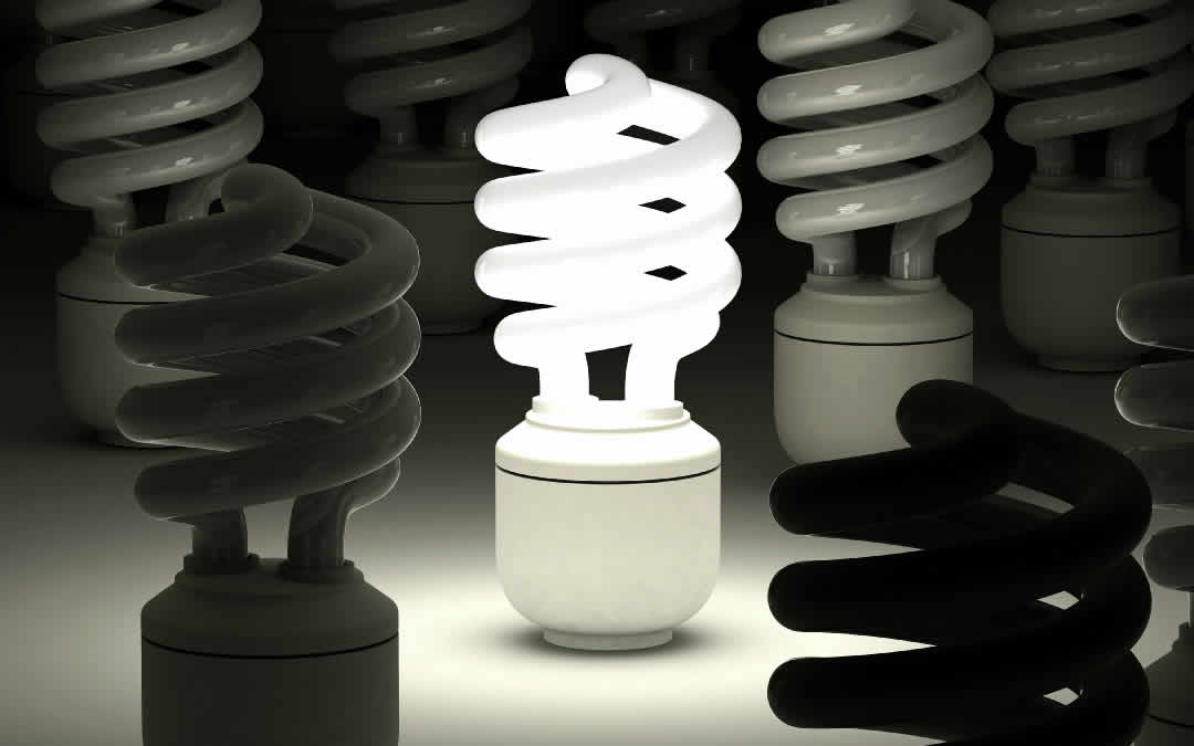 Compact Fluorescent Bulbs