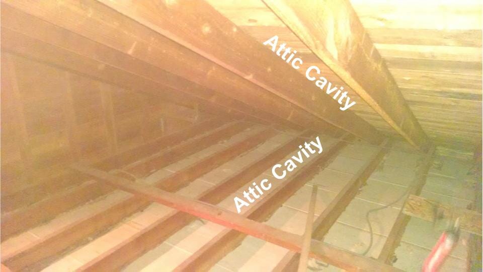 Attic Cavity