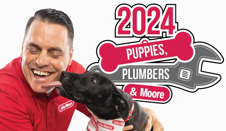 Puppies and Plumbers