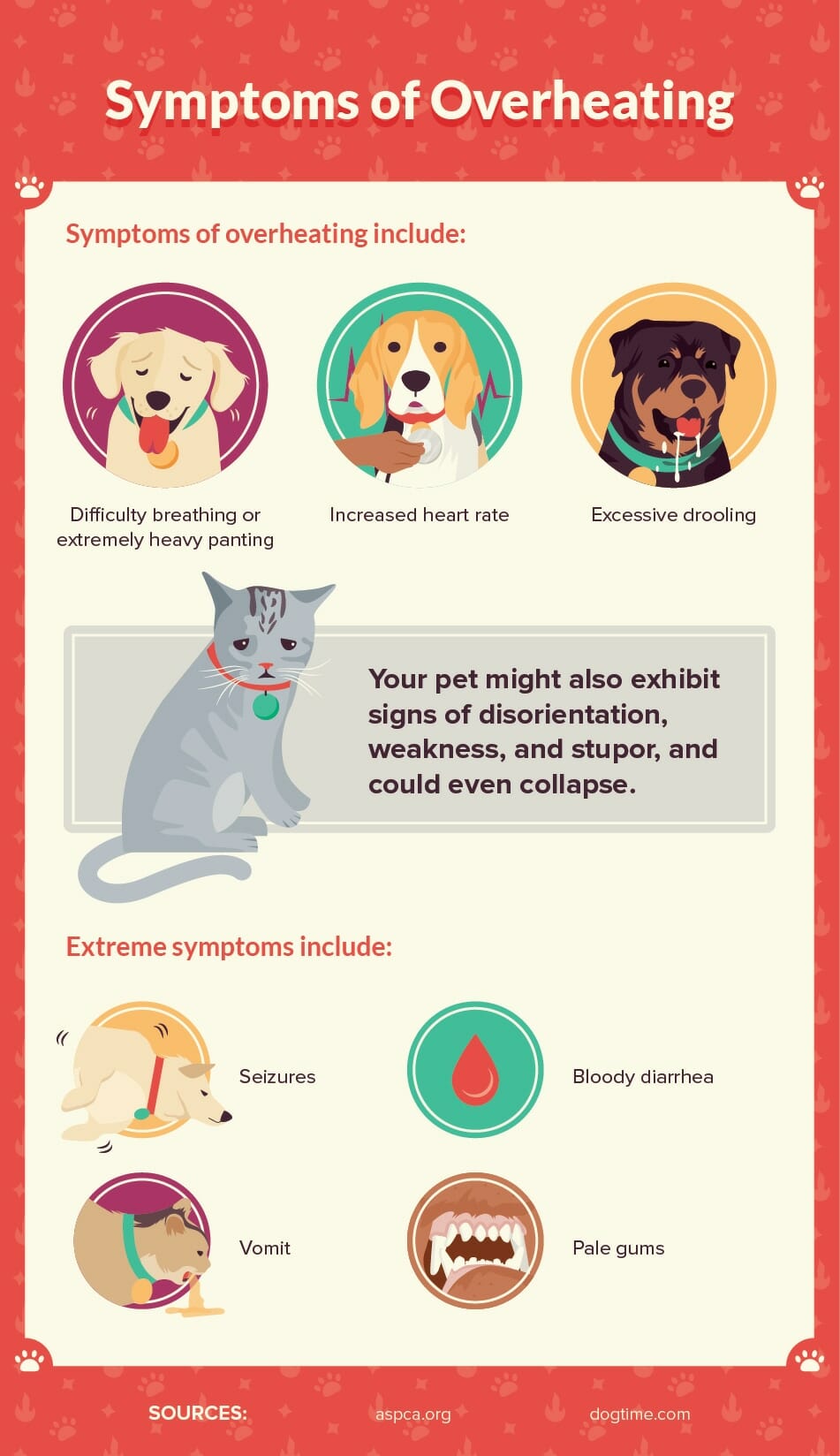 Symptoms of Overheating in Pets Infographic