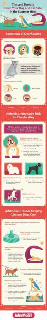 Keep Pets Cool Inforgrahic by John Moore