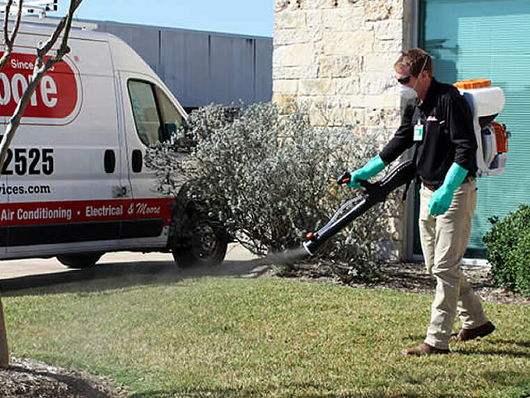 Pest Control Solutions In Medford