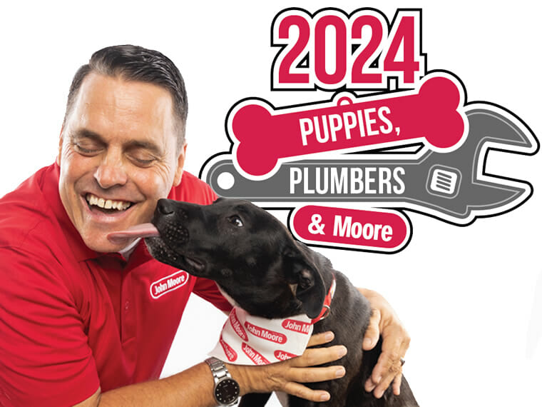 Puppies and Plumbers Featured Image